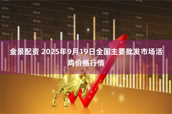 金景配资 2025年9月19日全国主要批发市场活鸡价格行情