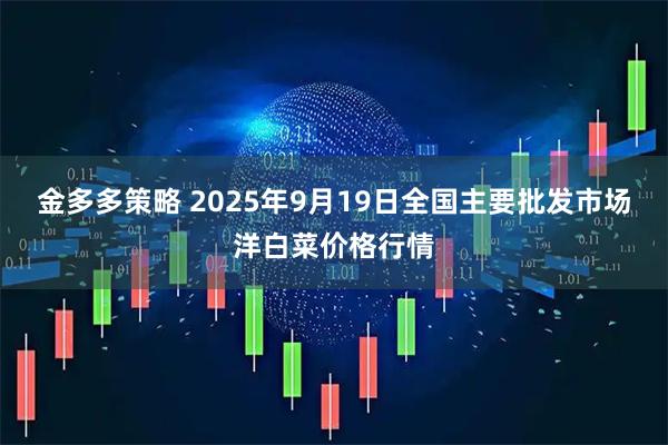 金多多策略 2025年9月19日全国主要批发市场洋白菜价格行情