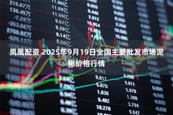 凤凰配资 2025年9月19日全国主要批发市场泥鳅价格行情