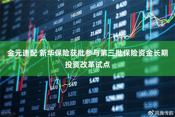 金元速配 新华保险获批参与第三批保险资金长期投资改革试点