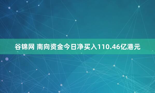 谷锦网 南向资金今日净买入110.46亿港元